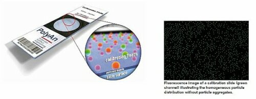 Calibration Slide
