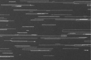 Uniformly oriented and stretched DNA on a PolyAn Combing Coverslip
